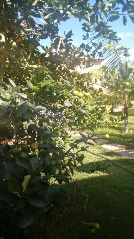 Pecem Suites Buitenkant foto